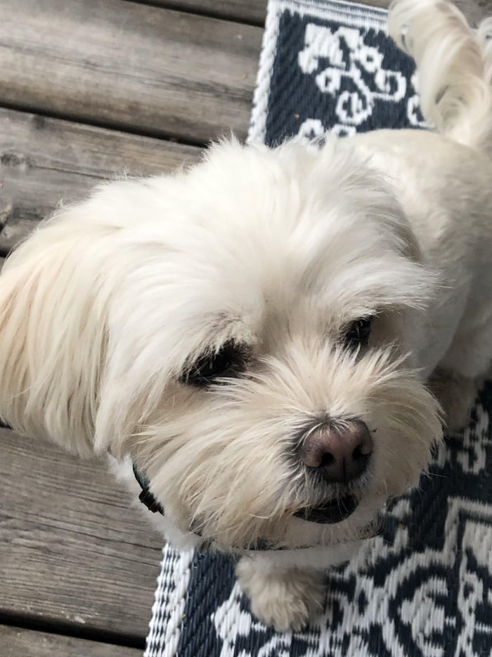 He only wants melons