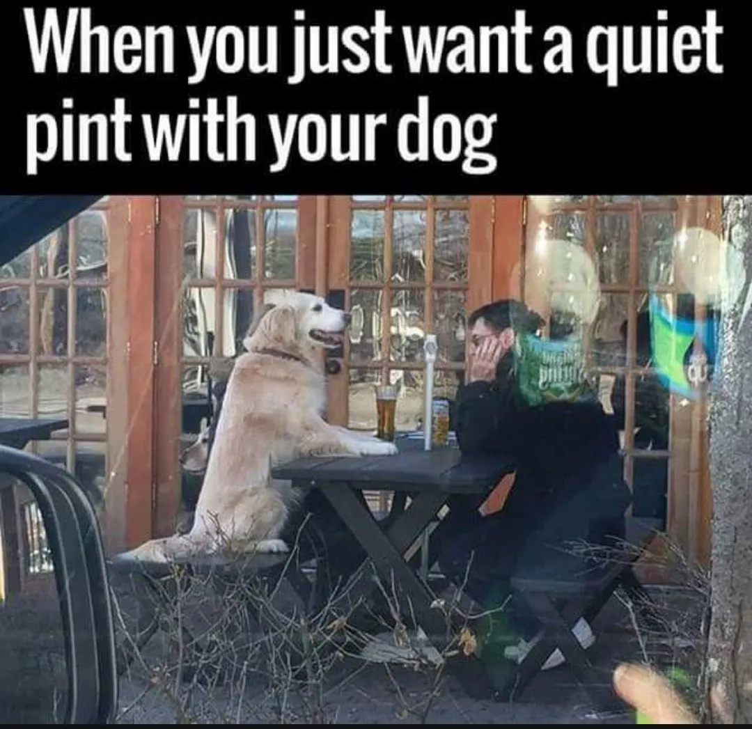 Hey!can we have a beer here or what?