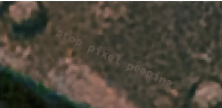 Hid in one of my pictures