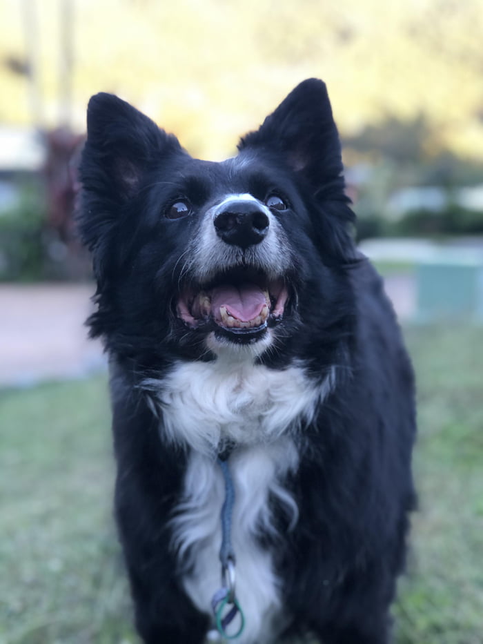 Hope Bessa can get some love here!