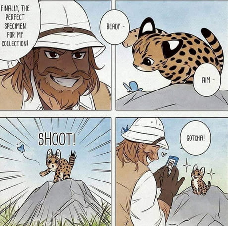 How to shoot animals from far the proper &amp; legal way