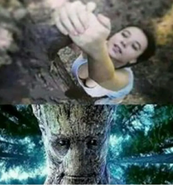 I am groot