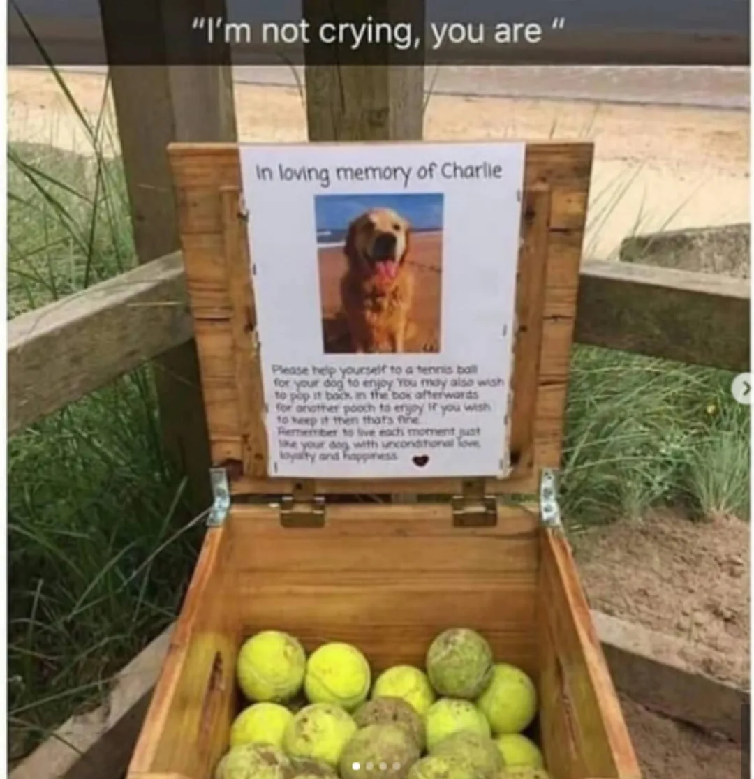 I am not crying 😭