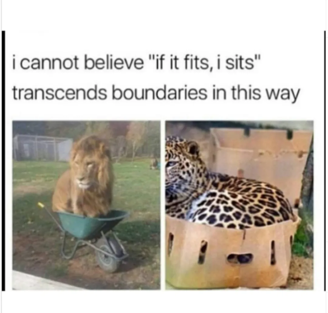 I can't believe this