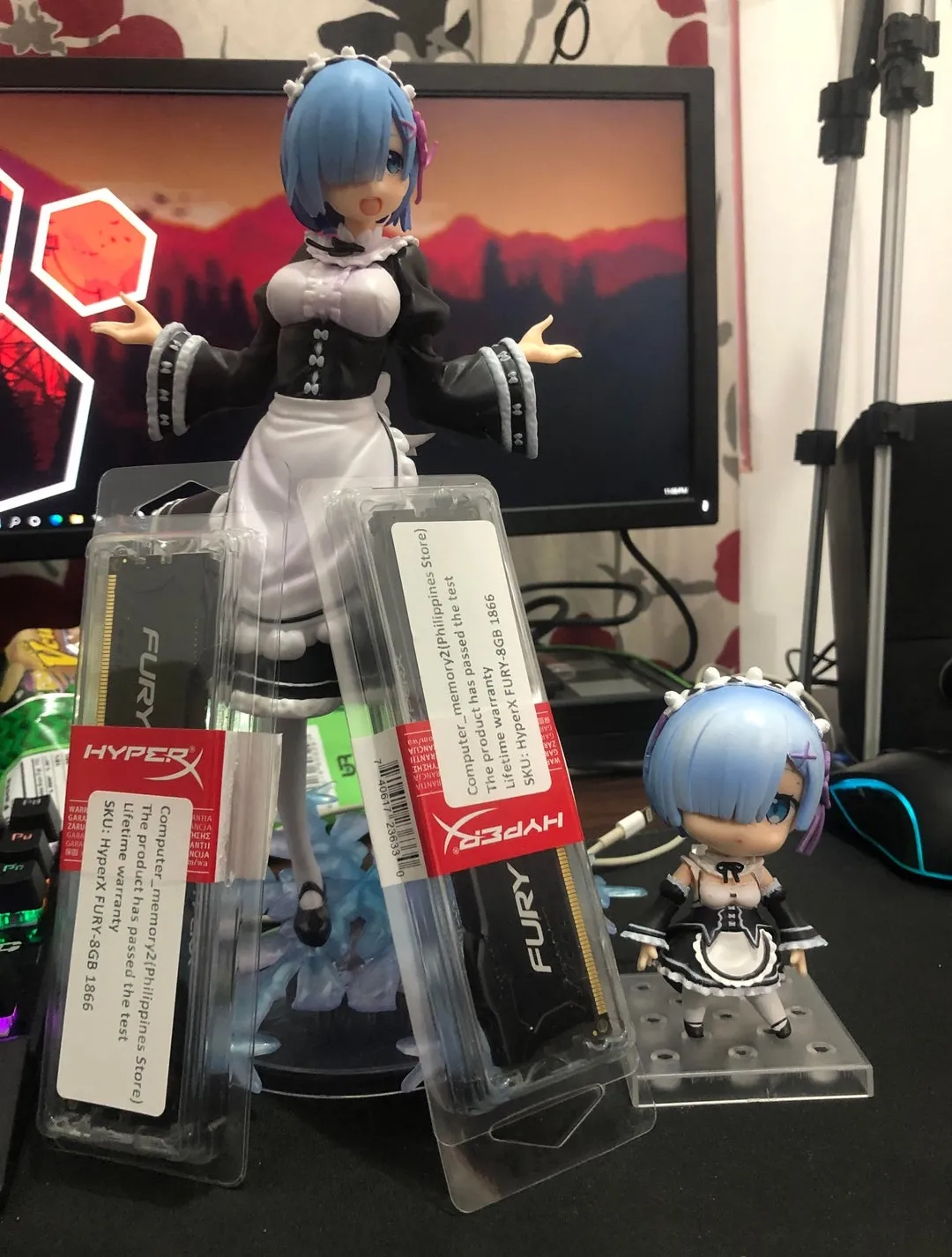I got my ram and rem