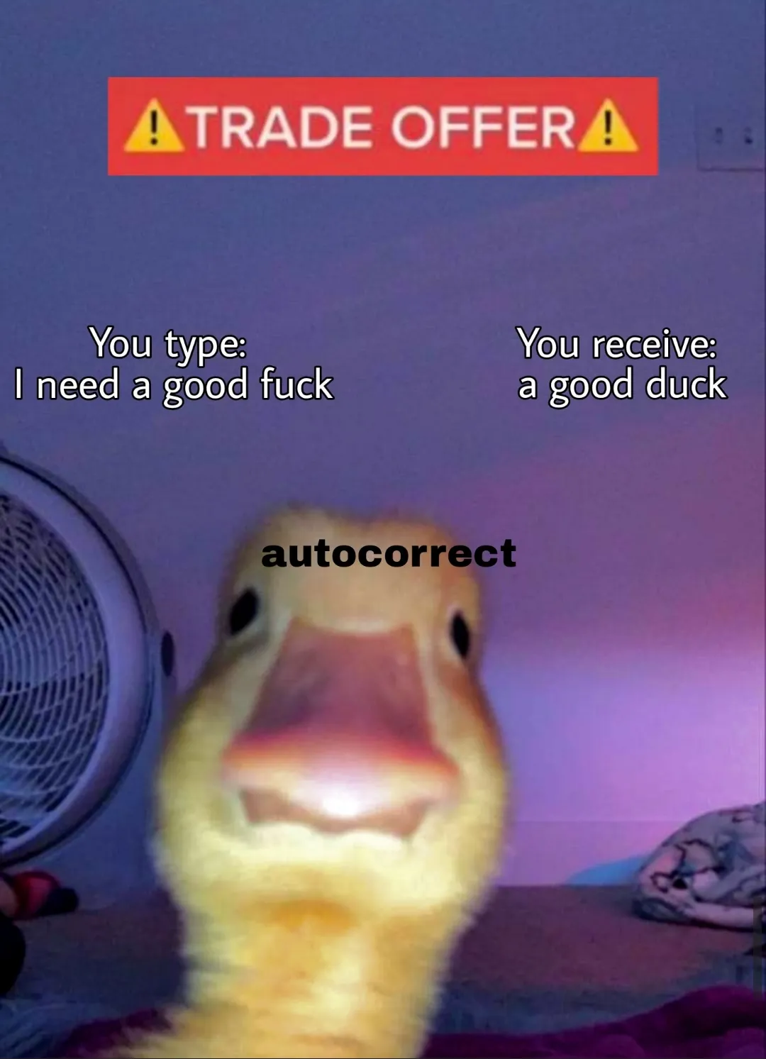 I have a big duck
