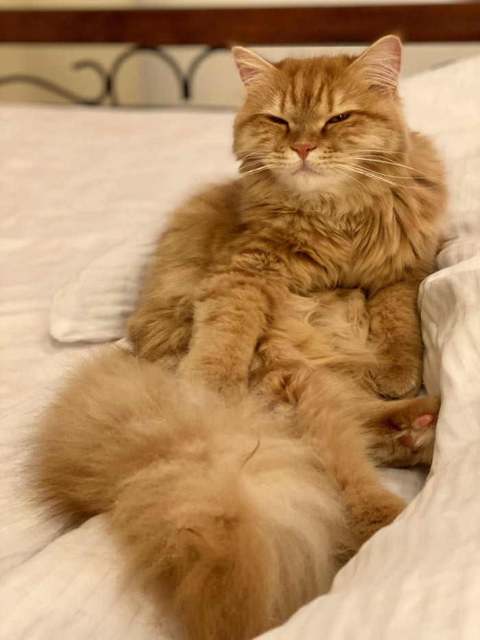 If looks could be derpy, she&rsquo;s the derpiest derp.