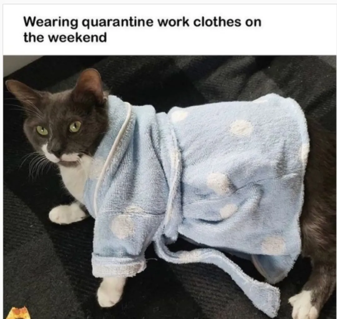 In my business casuals