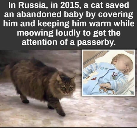 In Russia, In 2015, A Cat Saved An Abandoned Baby By Covering Him And Keeping Him Warm While Meowing Loudly To Get The Attention Of A Passerby