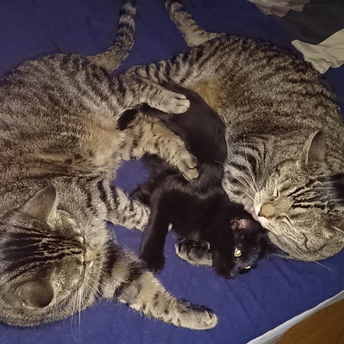 It&rsquo;s tough being the youngest sibling