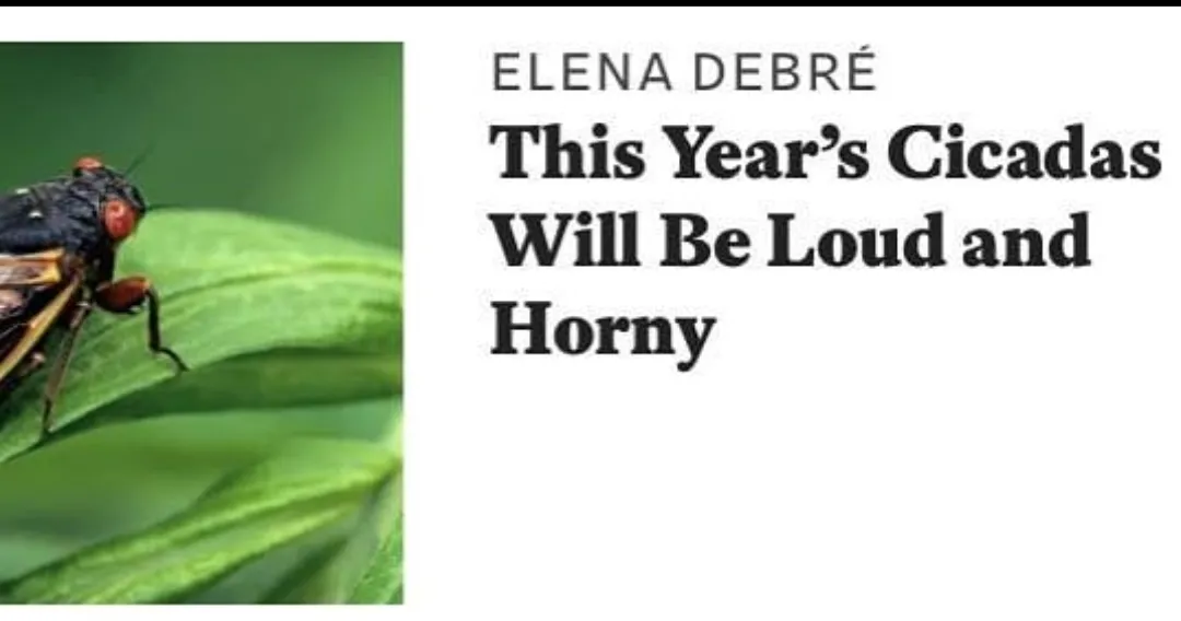 It's already a shitty first half of 2021