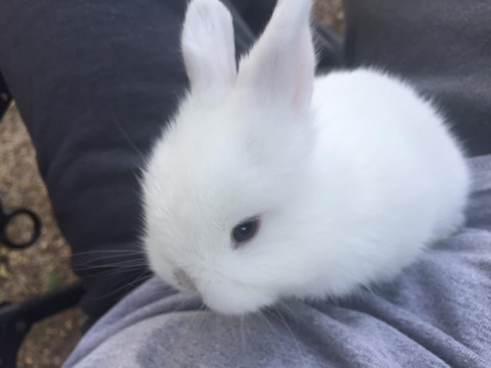 Just a little something to help you on your journey