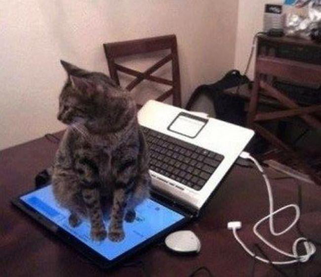 Just Your Usual marketing manager