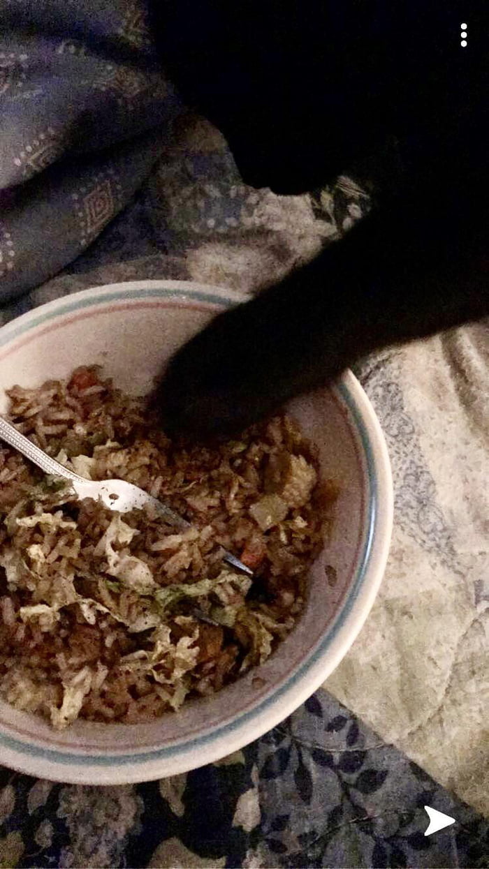 Kitty doesn&rsquo;t need chopsticks