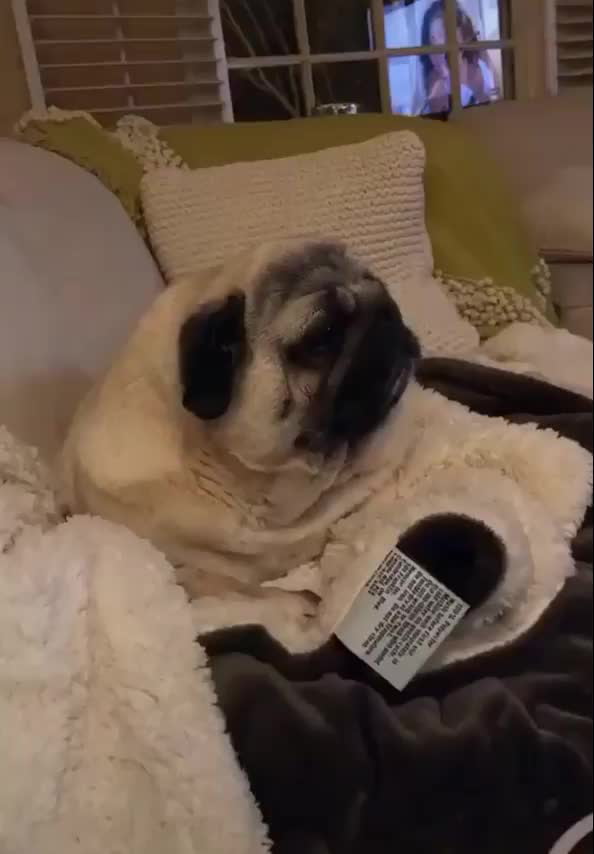 &ldquo;Wake me up when it&rsquo;s the weekend&rdquo;