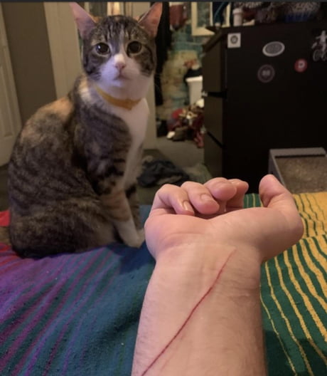 &ldquo;What did we learn?&rdquo;