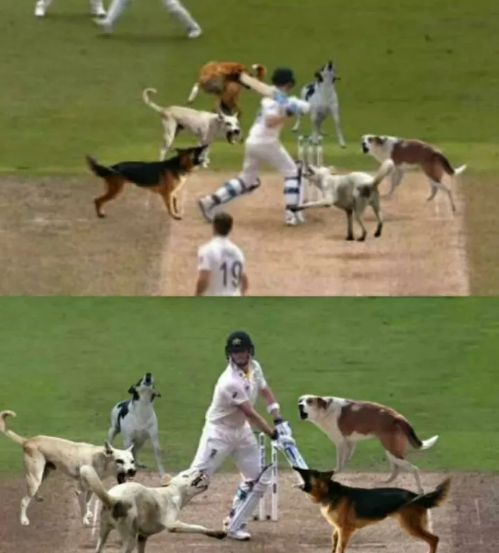 Leave him alone he's a legend