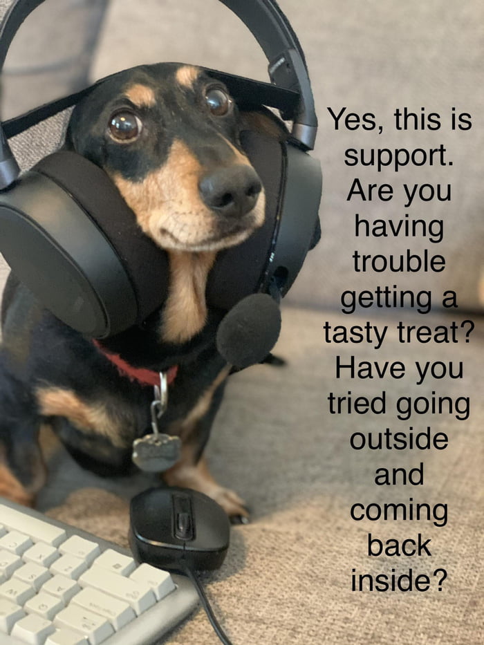 Level 3 pooch support