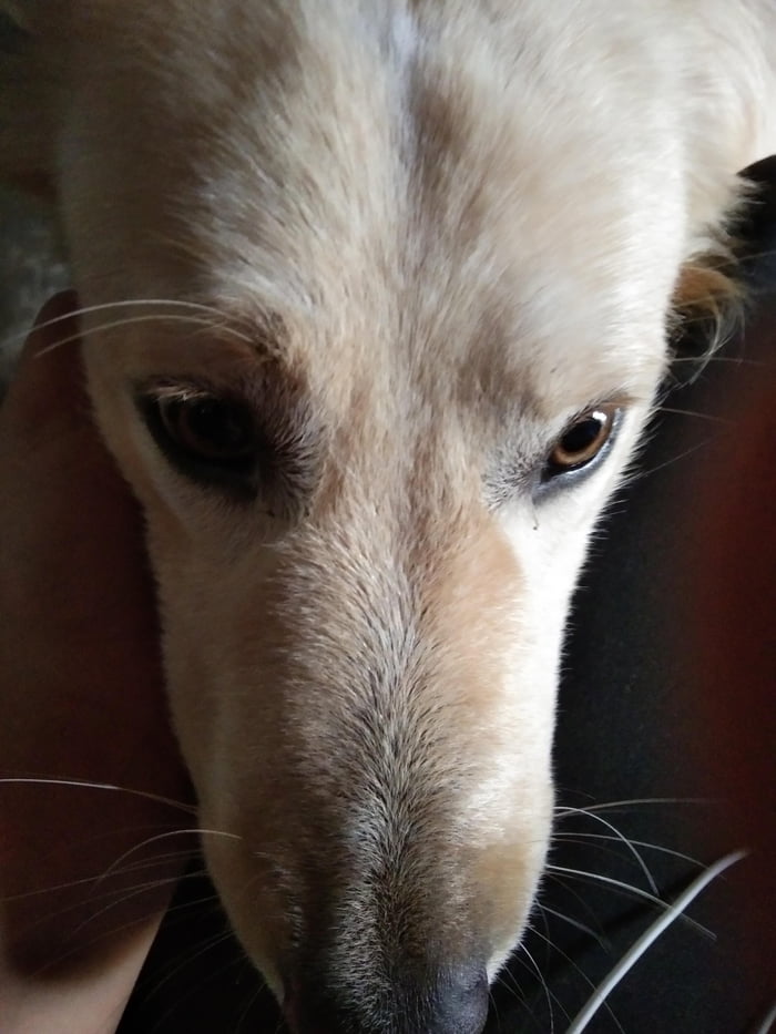 Little Aki is bored. He's all grown