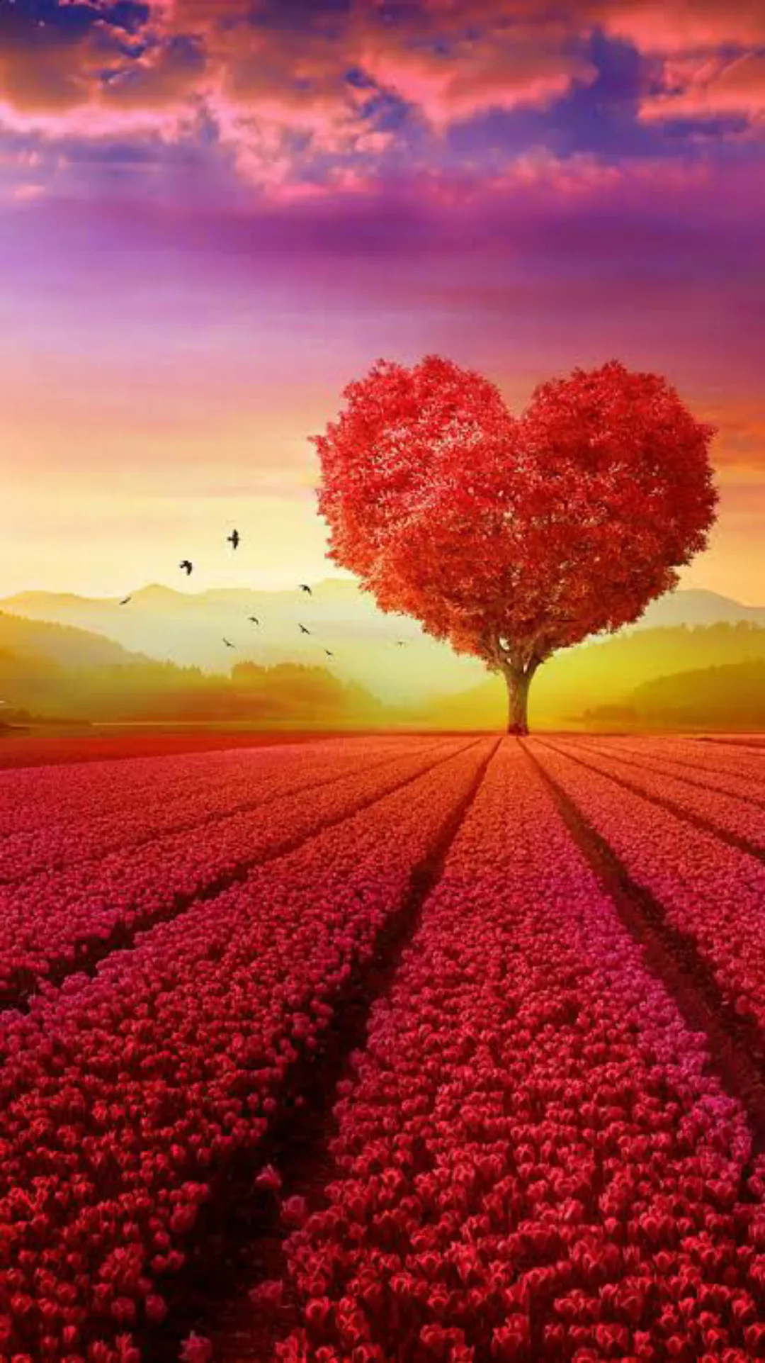 Love environment wallpaper hd.