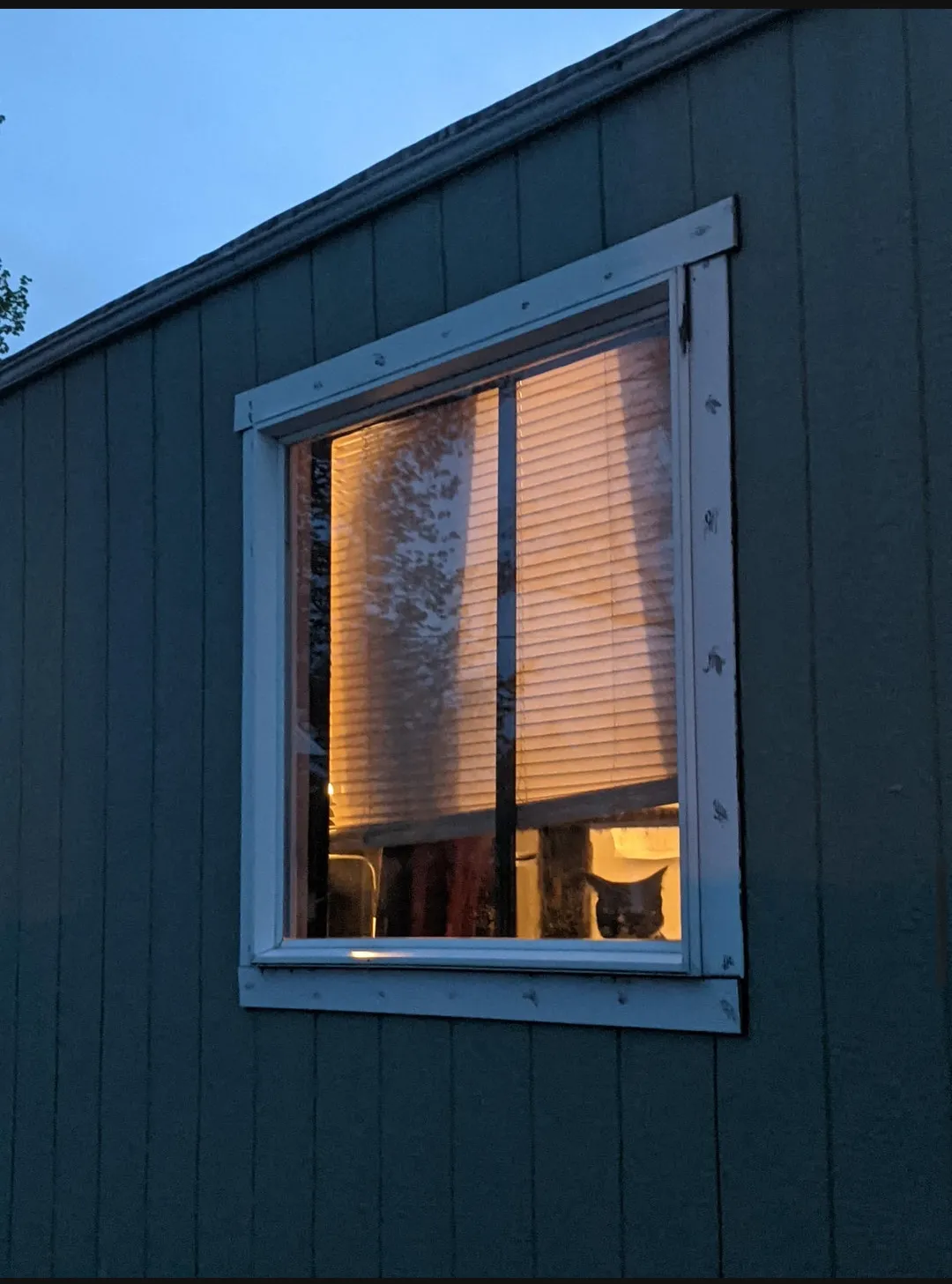 Me when my parents says that they are bringing home pizza