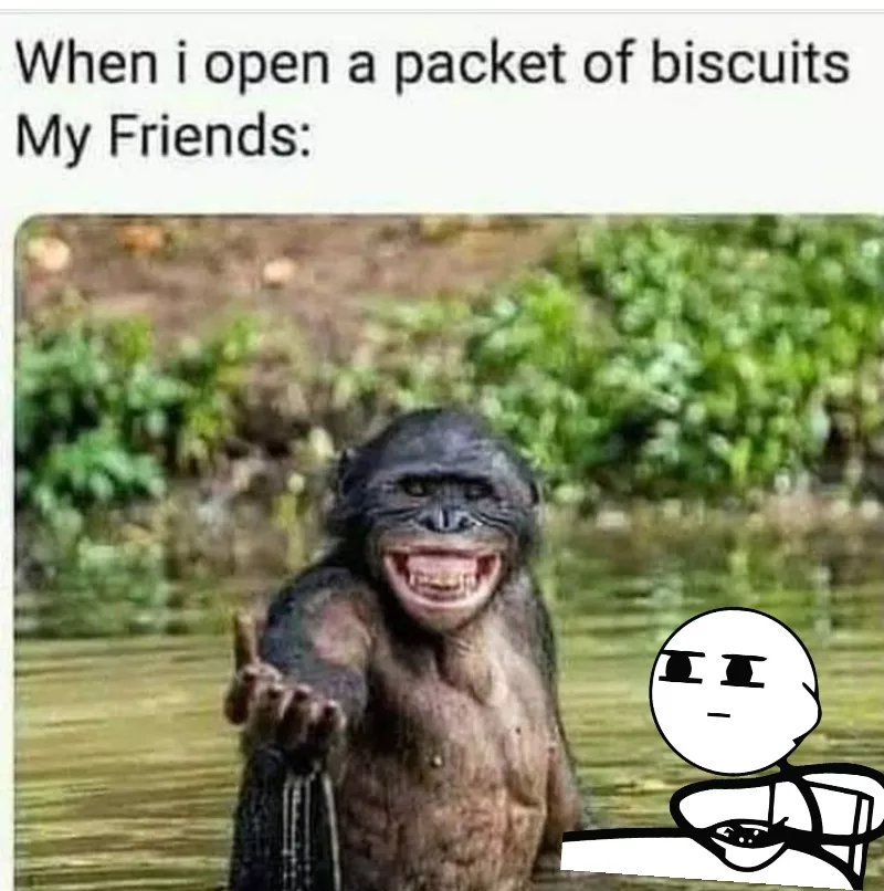 Mere khoobsurat dost