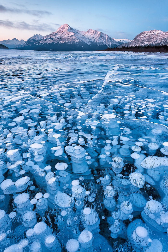Methane bubbles in Abraham Lake,Canada