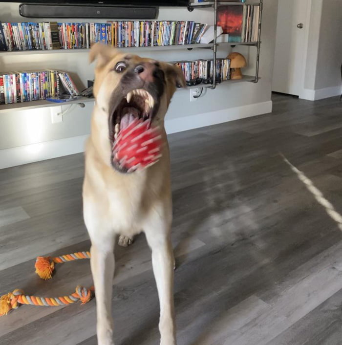 Mid-catch derp