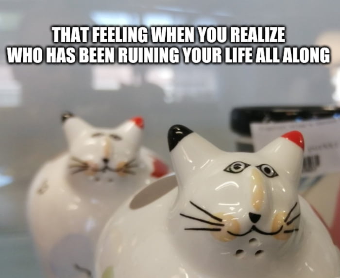 Mirror mirror on the wall, who's the greatest sucker of them all