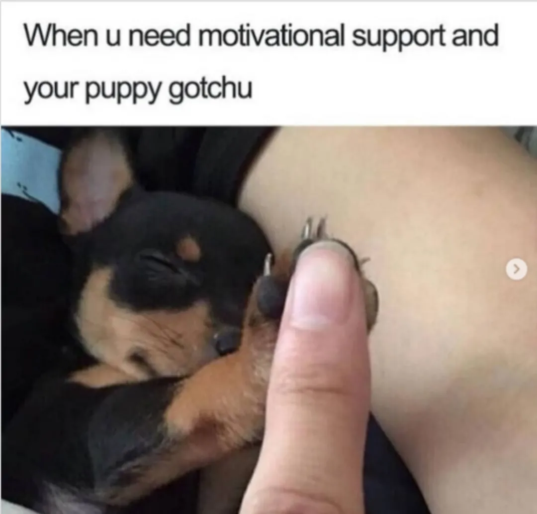 Motivational support