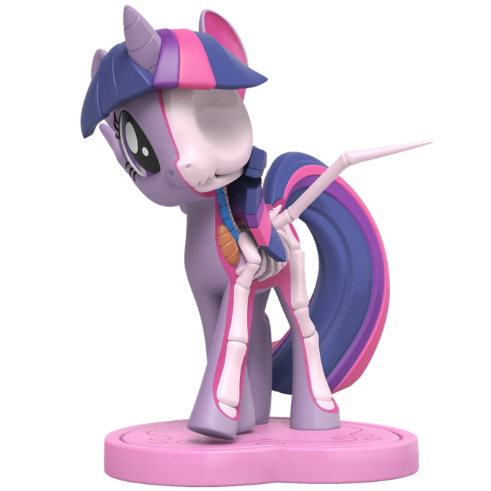 New Children Toy "Anatomy Ponies"