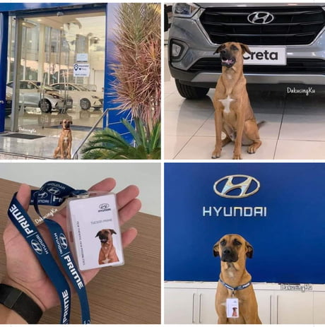New Security employee for Hyundai