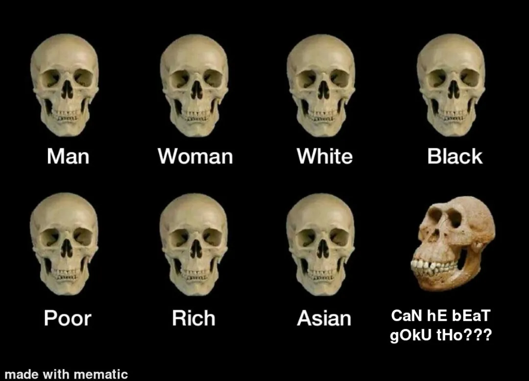 New weeb who have watched nothing but dragon ball,taking about favourite character