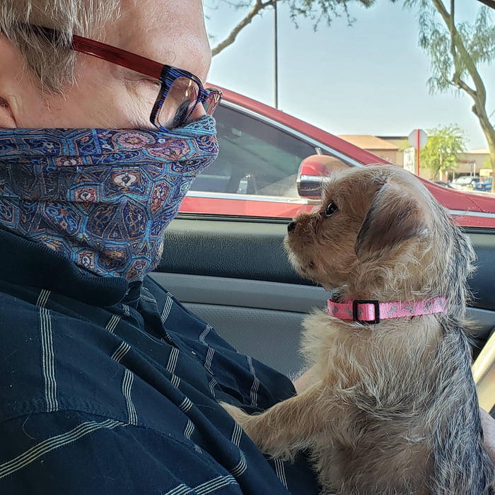 Nora listens carefully as Daddy explains what will happen shortly at her 1st vet visit.