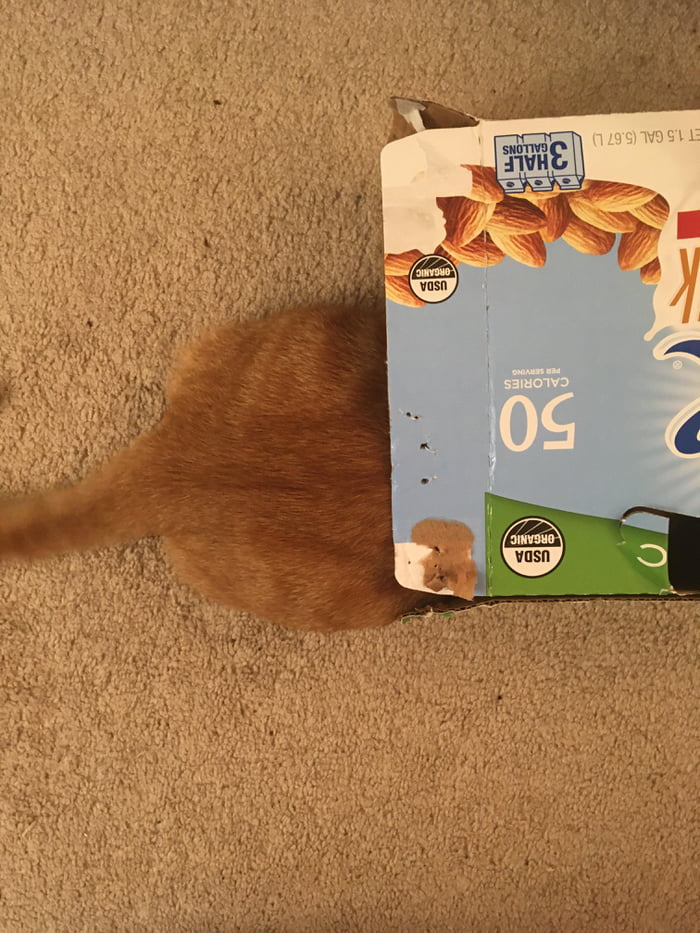 Omg where&rsquo;d he go