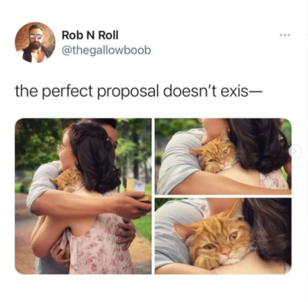 Perfect proposal