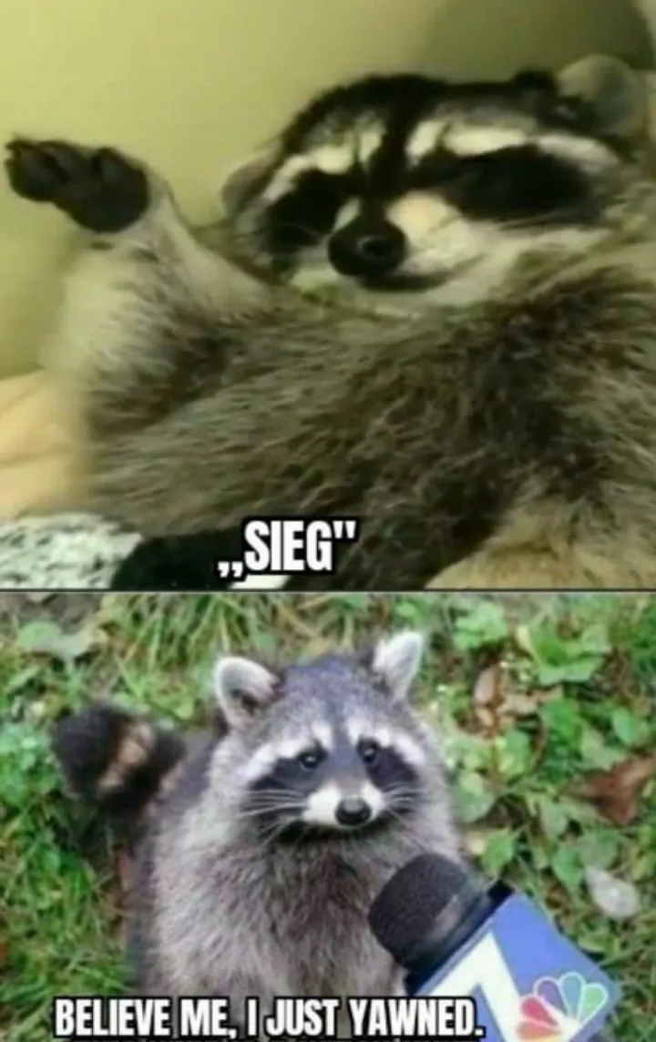 Politicians after drinking