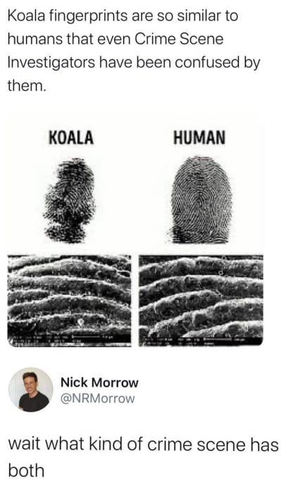 Probably Australia? and yes twitter Screenshots are not meme.