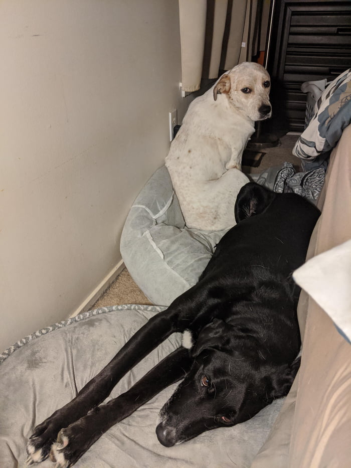 "Mom, tell him to share"