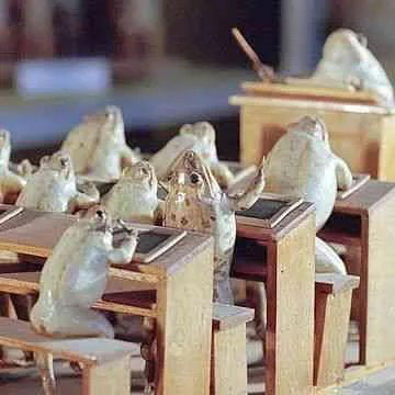 Repeat after me : its wednesday my dudes