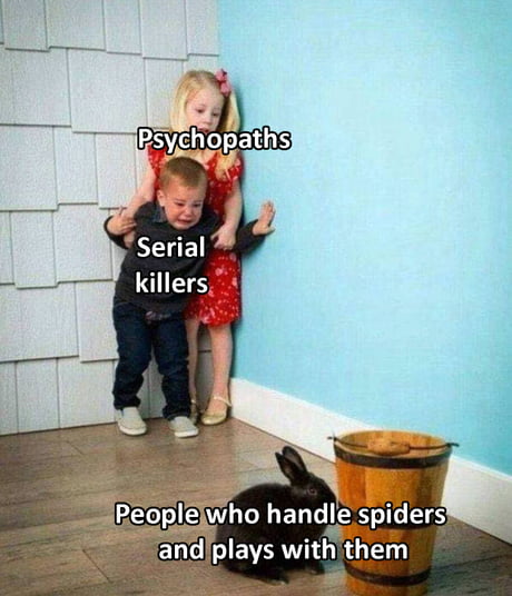 Seriously what the f**k?