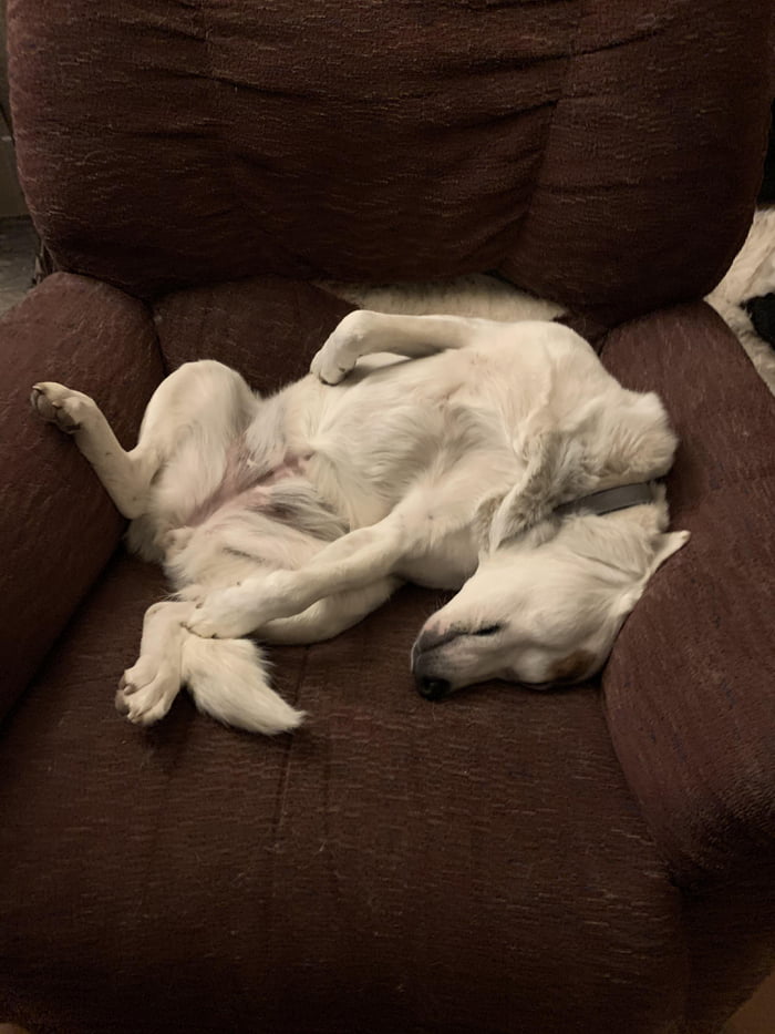 She always sleeps like this