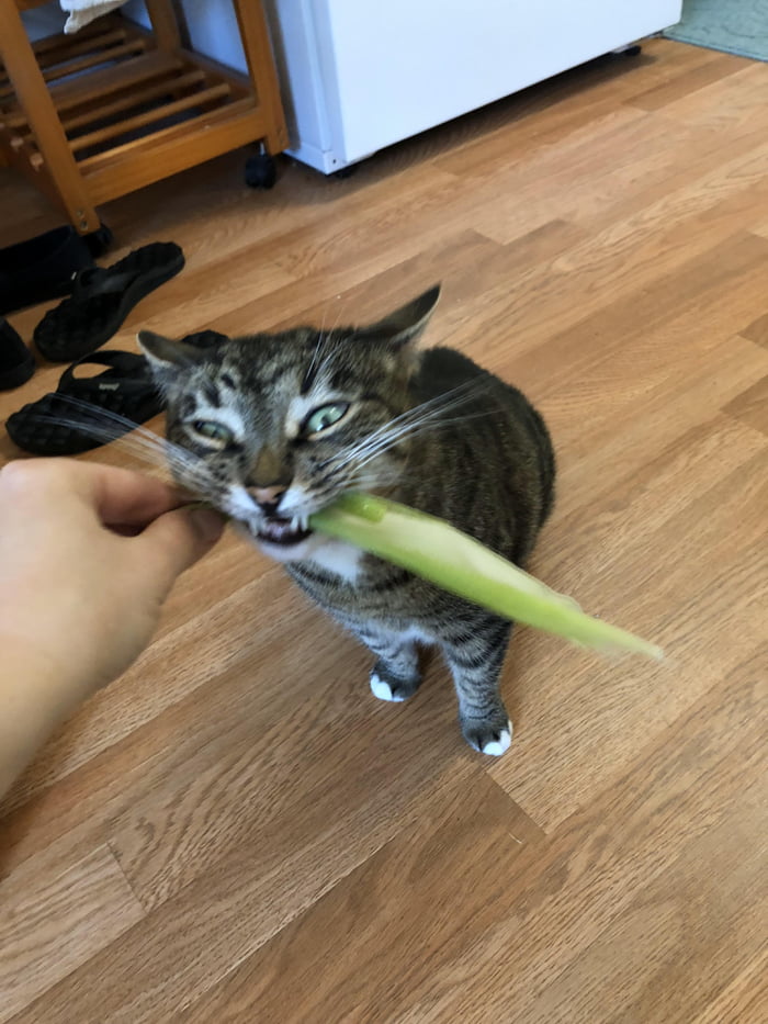 She discovered a corn husk