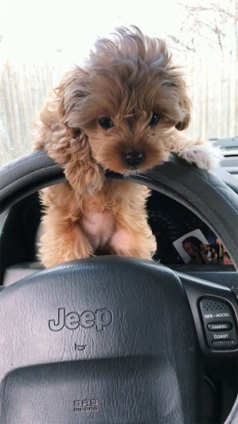 She doesn't want me to go