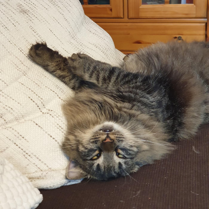 She loves sleeping on her back