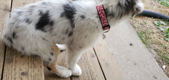 She sits on the steps next to me like this.