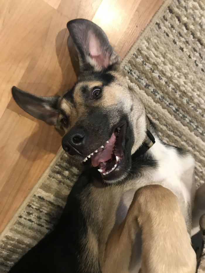 She&rsquo;s so happy in the mornings!