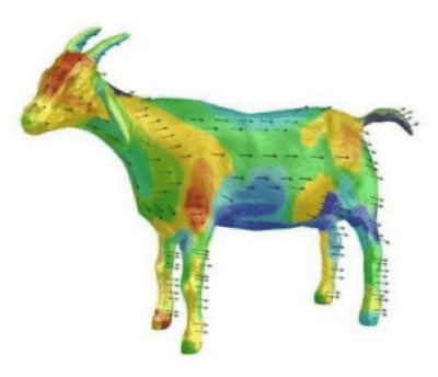 Since nobody asked for it, here is aerodynamic model of a goat