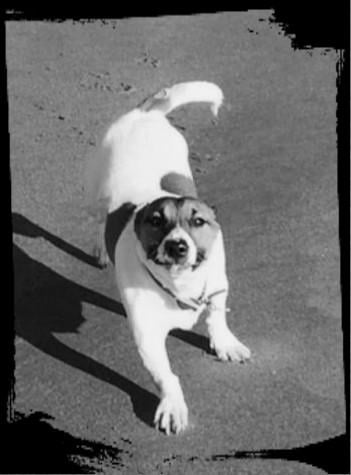 SMILE... not like this though