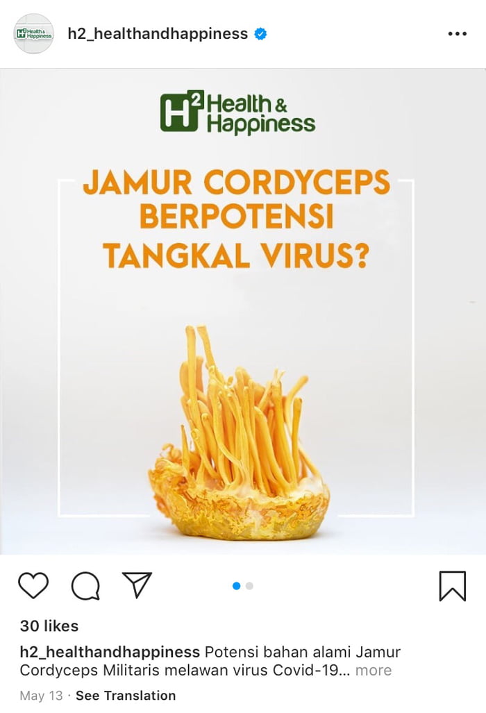 Some group in wkwkland try to invent antivirus from cordyceps mushroom (translation in comment)